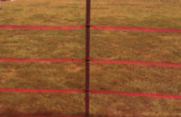 red grand slam portable fence